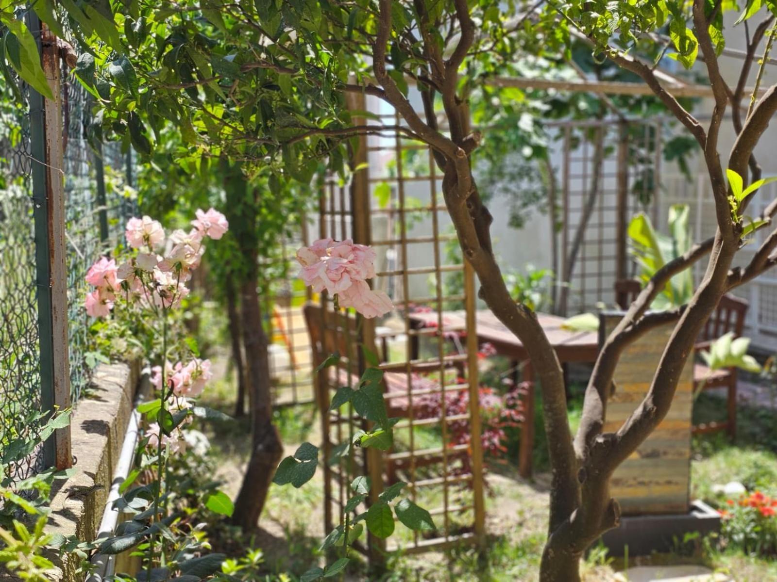 Prestige Casa Vacanze カタンザーロ エクステリア 写真
